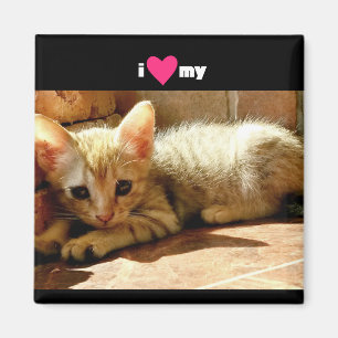 Ich habe meine Katze gehört Magnet