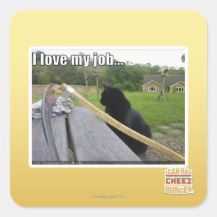 Ich habe meine Liebe Quadratischer Aufkleber