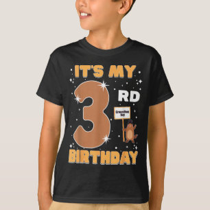 Ich habe meinen 3. Geburtstag Groundhog Day 3 Jahr T-Shirt