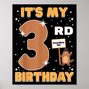 Ich habe meinen 3. Geburtstag Murmeltiertag 3 Jahr Poster
