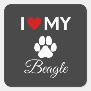 Ich habe meinen Beagle-Hund-Sondertext Liebe Quadratischer Aufkleber