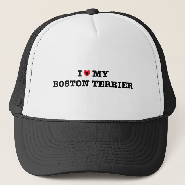 Ich habe meinen Boston Terrier Trucker Hat gehört Truckerkappe (Vorderseite)