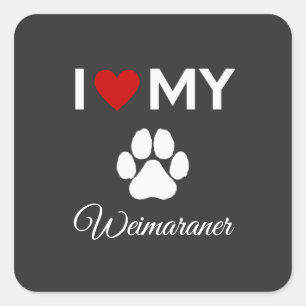 Ich habe meinen Weimaraner-Hund-Sondertext Liebe Quadratischer Aufkleber