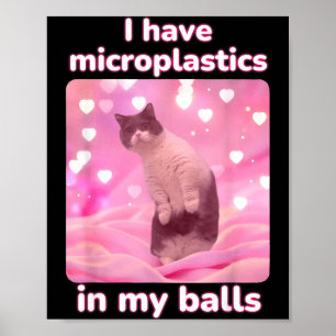 Ich habe Mikroplastik in meinem rosa Katzen-Meme D Poster