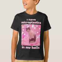Ich habe Mikroplastik in meinem rosa Katzen-Meme D