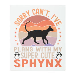 Ich habe mit meiner Sphynx-Katze Pläne