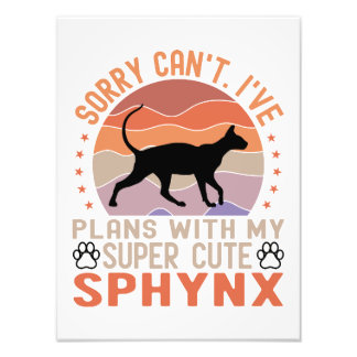 Ich habe mit meiner Sphynx-Katze Pläne Fotodruck