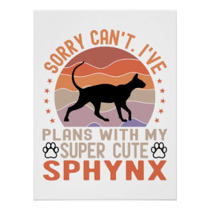 Ich habe mit meiner Sphynx-Katze Pläne Poster