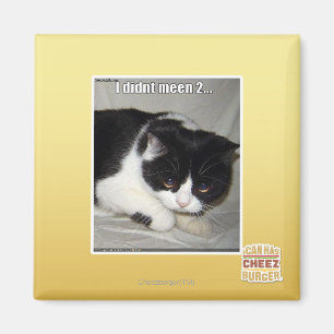 Ich habe nicht 2 bedeutet magnet