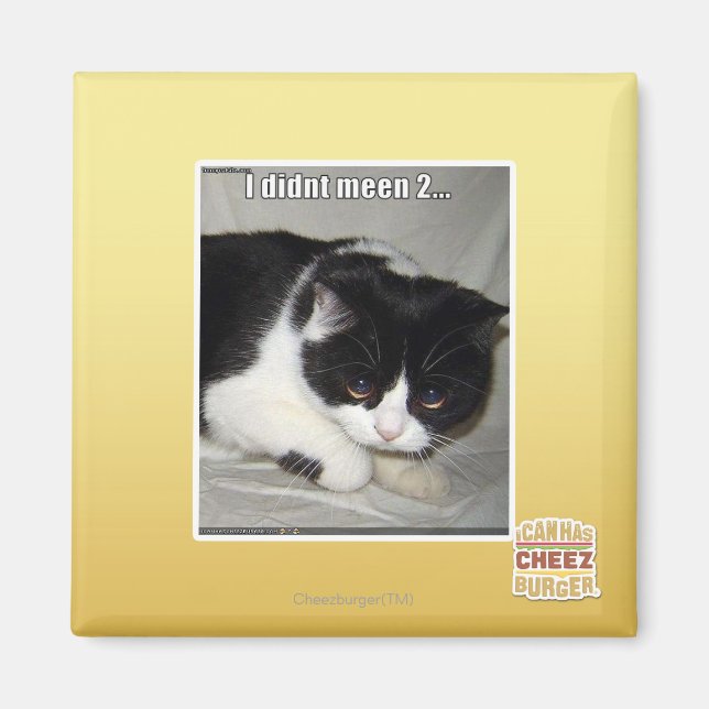 Ich habe nicht 2 bedeutet magnet (Vorne)