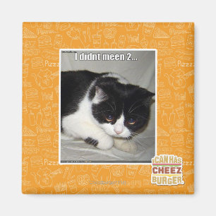 Ich habe nicht 2 bedeutet magnet