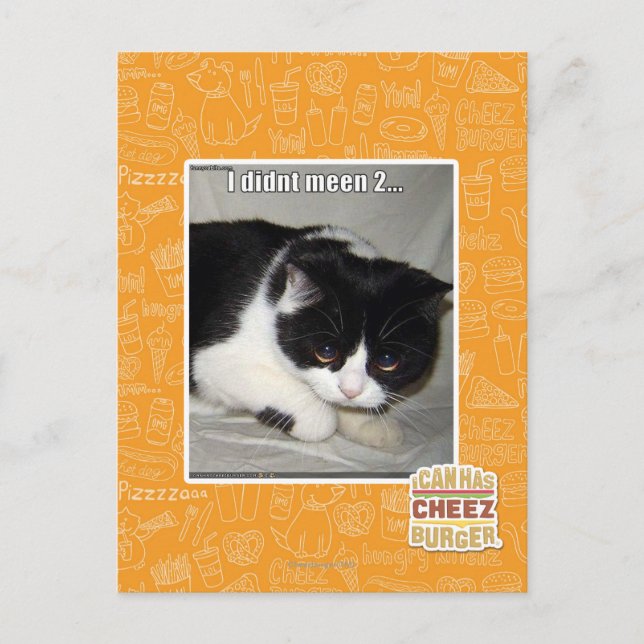 Ich habe nicht 2 bedeutet postkarte (Vorderseite)