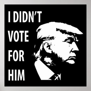 Ich habe nicht für Trump gestimmt Poster
