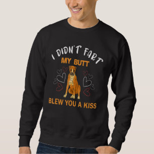 Ich habe nicht Furz, dass mein Hintern dir einen K Sweatshirt