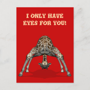 Ich habe nur Augen für dich Postkarte