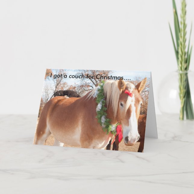 Ich habe zu Weihnachten ein Sofa got... (Vorderseite)