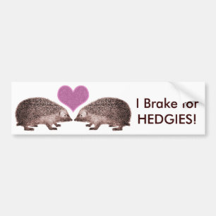 Ich halte an HEDGIES fest! Igel-Autoaufkleber gere Autoaufkleber