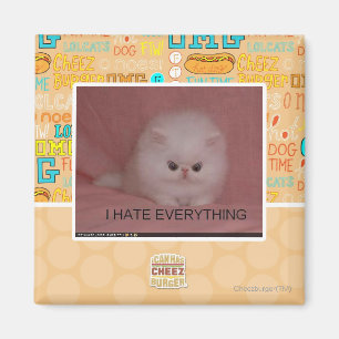 Ich hasse alles magnet