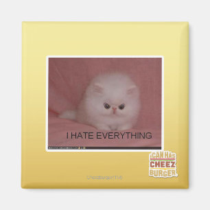 Ich hasse alles magnet