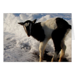 Ich hasse den Winter. Hier kommt die Hoffnung Früh