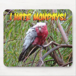 Ich hasse Montage Mousepad