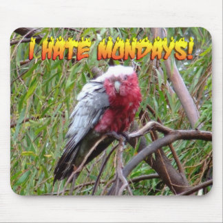 Ich hasse Montage Mousepad