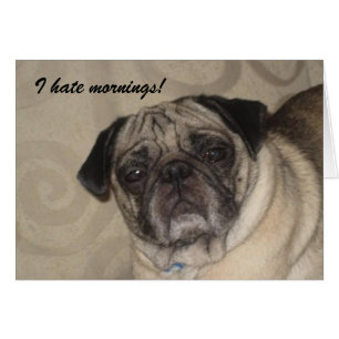 Ich hasse Morgen-Karte!