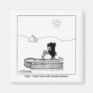 Ich hasse Nahrung mit Konservierungsstoffen Magnet