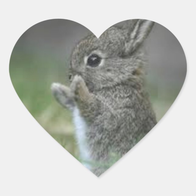 ICH HEART BUNNYS Herz-Aufkleber (Vorderseite)
