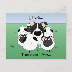 Ich Herd... also bin ich Postcard. Postkarte