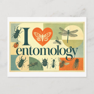 "Ich [Herz] Entomologie" Postkarte