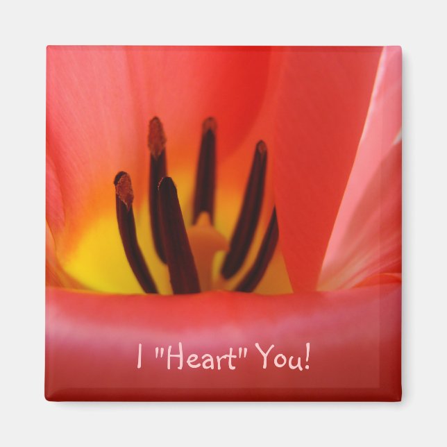Ich "Herz" Sie! Magnet RED Tulip Blume (Vorne)