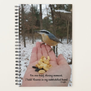 Ich hielt den Himmel in meiner Hand - der Vogel Lo Planer