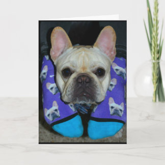 Ich hoffe, Ihr Geburtstag ist Hund-Gone-Hund glück Karte