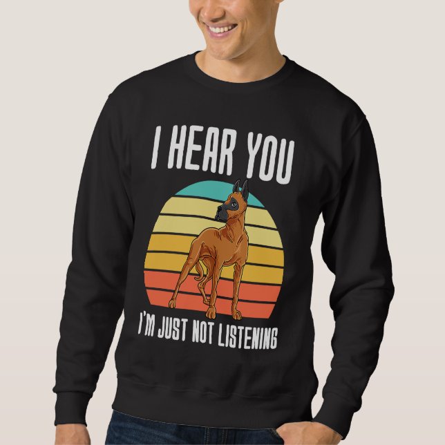 Ich höre dir zu, ich höre dir einfach nicht zu  1 sweatshirt (Vorderseite)