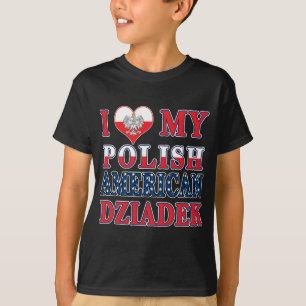 Ich höre mein Polnisch Amerikanisches Zidek T-Shirt
