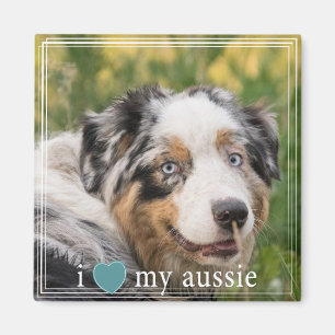 Ich höre meine australische Shepherd-Weiße Grenze Magnet