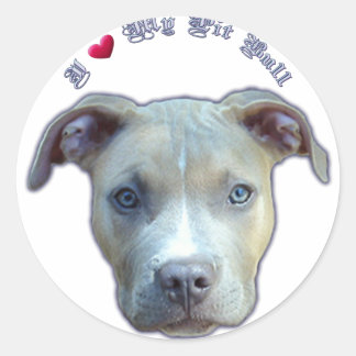 Ich höre meinen Pit Bull Sticker