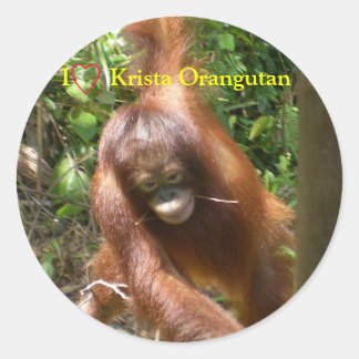 Ich höre Orangutans Runder Aufkleber