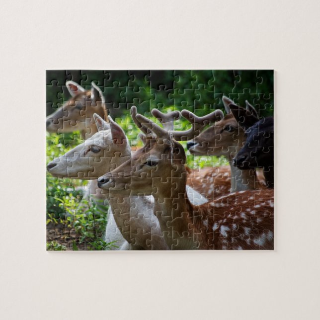 Ich höre Puzzle (Horizontal)