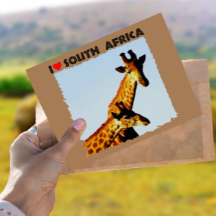 Ich höre Südafrika Blue Sky Giraffen Postkarte