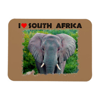 Ich höre Südafrika, junger Elefant Magnet