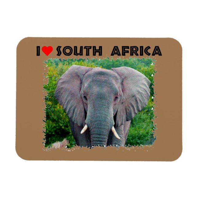 Ich höre Südafrika, junger Elefant Magnet (Horizontal)