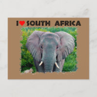 Ich höre Südafrika, junger Elefant
