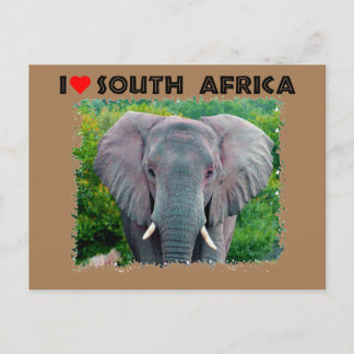 Ich höre Südafrika, junger Elefant Postkarte