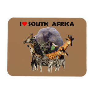 Ich höre Südafrika Wildlife Collage Magnet