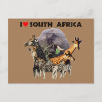 Ich höre Südafrika Wildlife Collage