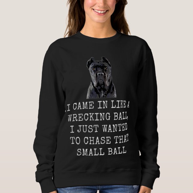 Ich kam herein wie ein wackeliger Ball Funny Dog V Sweatshirt (Vorderseite)