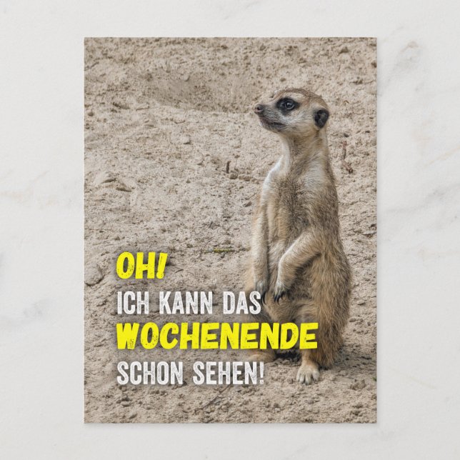 Ich kann das Wochenende schon sehen - Erdmännchen Postkarte (Vorderseite)