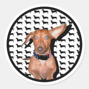 Ich kann dich hören runder aufkleber